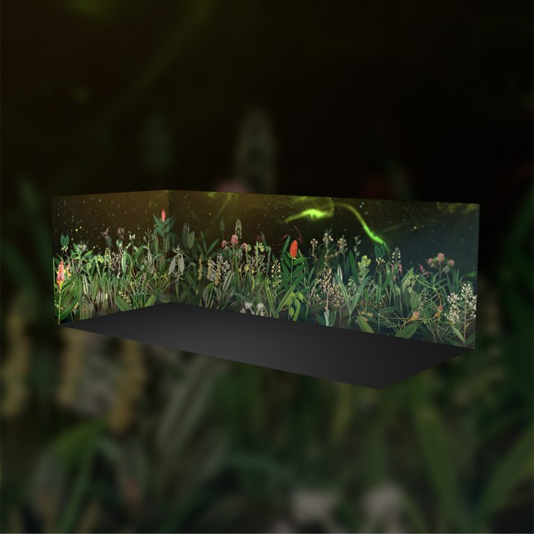 Miniatura_Botanico